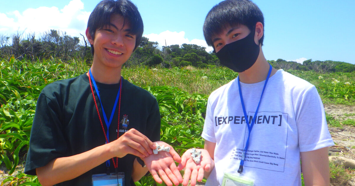 屋久島の青少年旅行村の海岸で撮影した写真