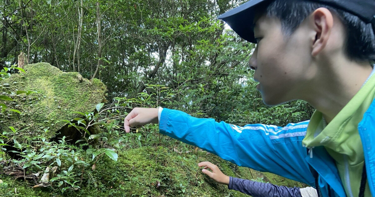 自然体験プログラムの様子