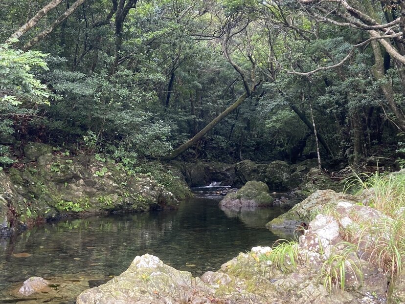 歴史と自然を感じる川遊びスポット