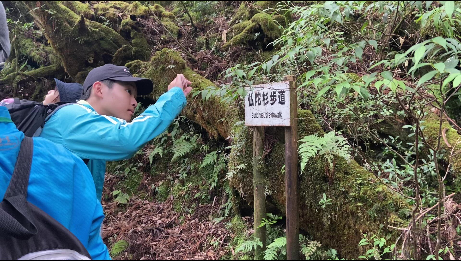 屋久島がきっかけになる！おおぞらフィールドツアー